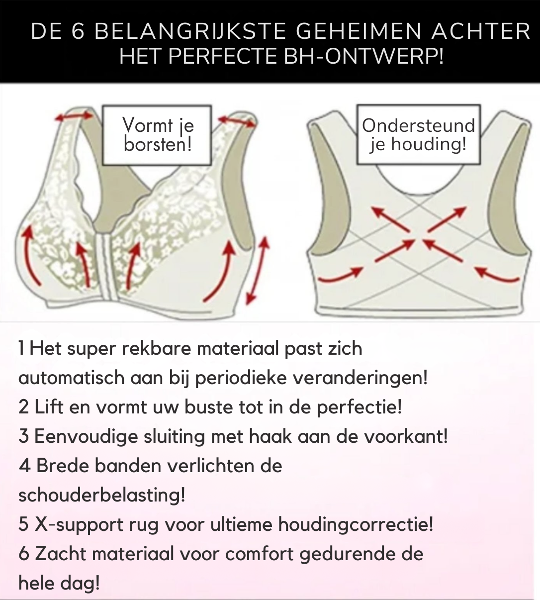 Nederlands_5adf5526-63f8-4102-a0c4-7f64227511d6.png